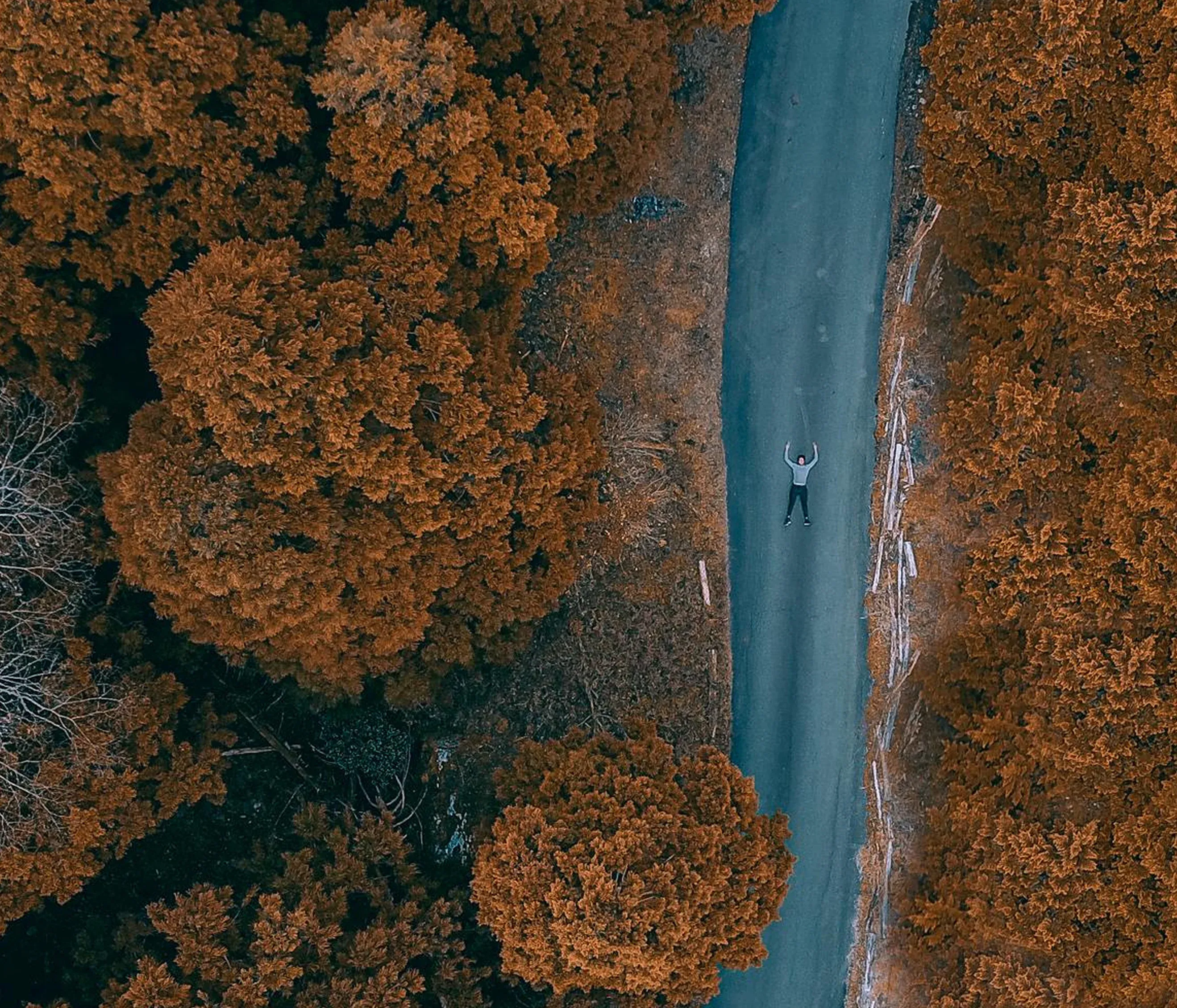 Visual Exploration